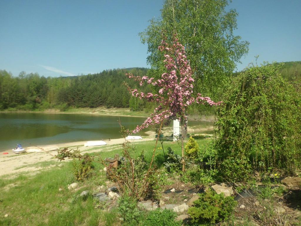 Rezidence u Jezera Hotel Jeseník Exterior foto